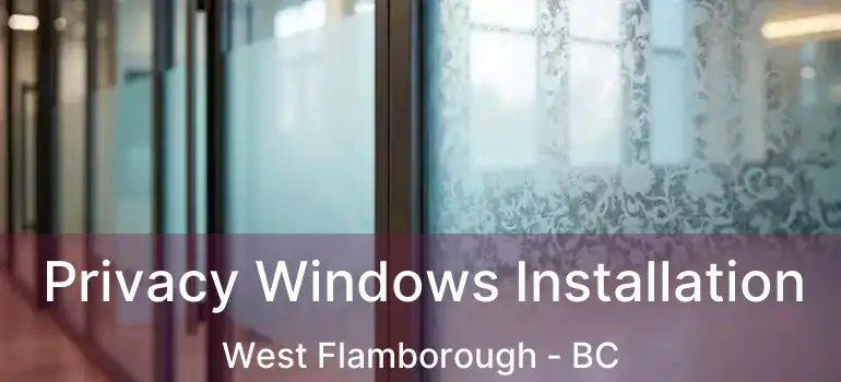  Privacy Windows Installation West Flamborough - BC