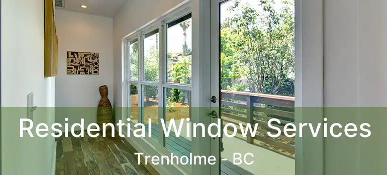  Residential Window Services Trenholme - BC
