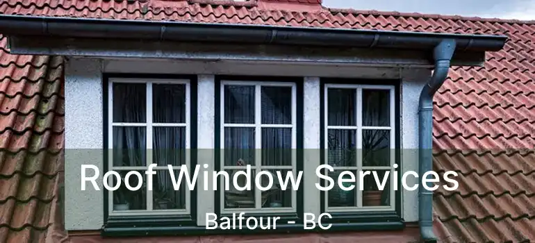  Roof Window Services Balfour - BC