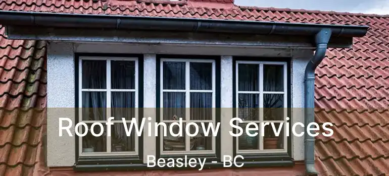  Roof Window Services Beasley - BC