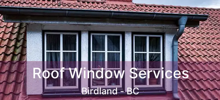  Roof Window Services Birdland - BC