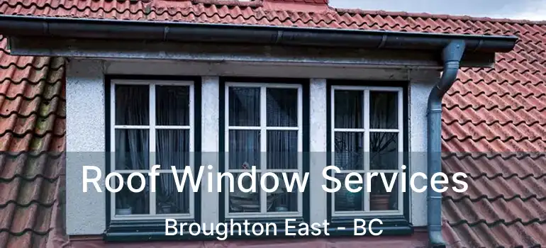  Roof Window Services Broughton East - BC