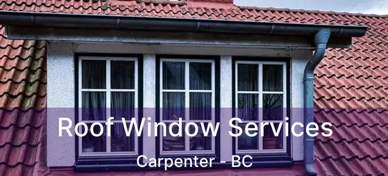  Roof Window Services Carpenter - BC