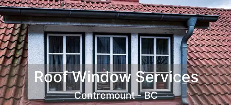  Roof Window Services Centremount - BC