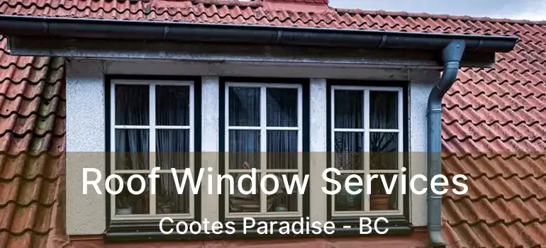  Roof Window Services Cootes Paradise - BC