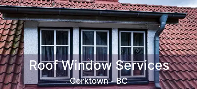  Roof Window Services Corktown - BC