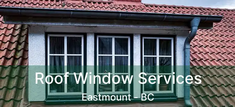  Roof Window Services Eastmount - BC