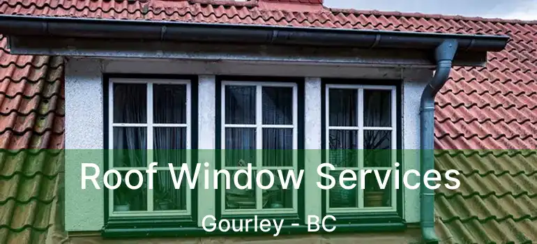  Roof Window Services Gourley - BC
