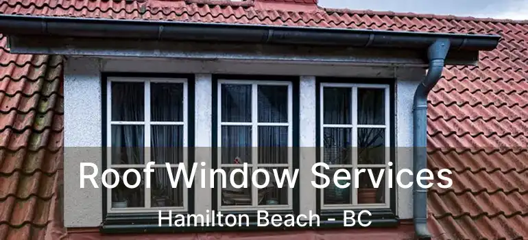  Roof Window Services Hamilton Beach - BC