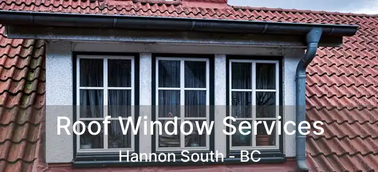  Roof Window Services Hannon South - BC