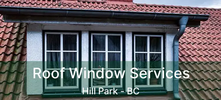  Roof Window Services Hill Park - BC