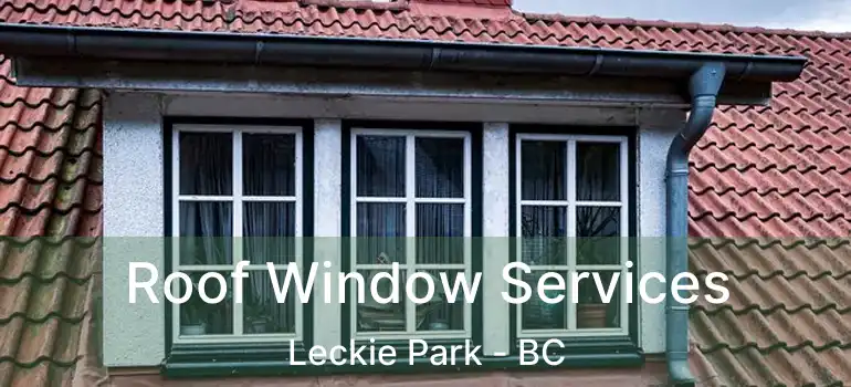  Roof Window Services Leckie Park - BC