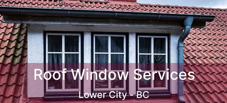  Roof Window Services Lower City - BC