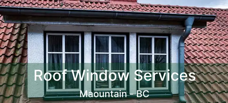  Roof Window Services Maountain - BC