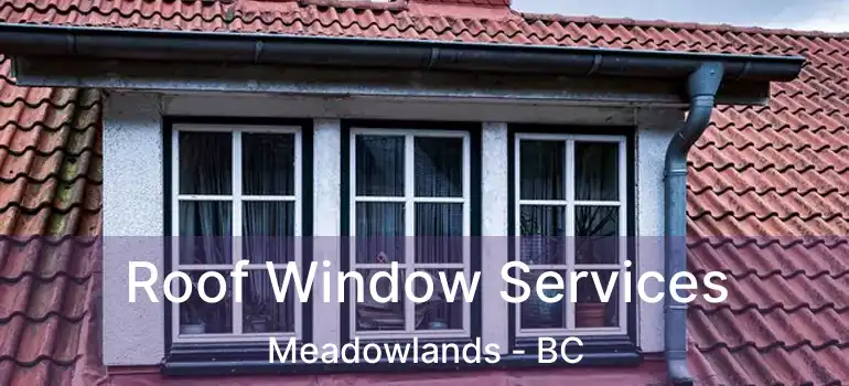  Roof Window Services Meadowlands - BC