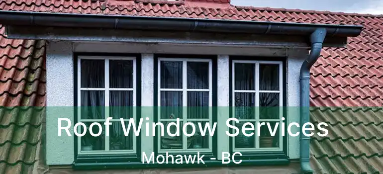  Roof Window Services Mohawk - BC