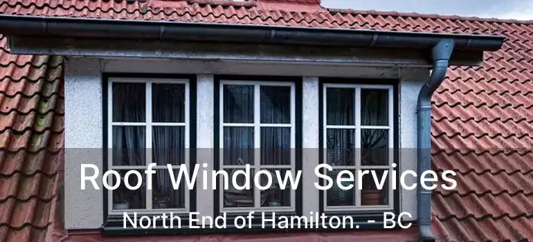  Roof Window Services North End of Hamilton. - BC