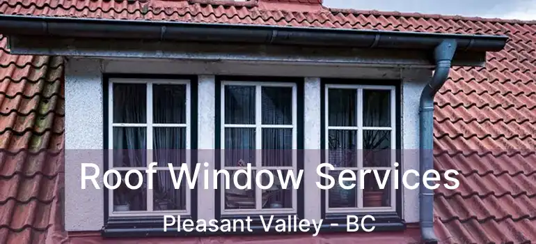  Roof Window Services Pleasant Valley - BC