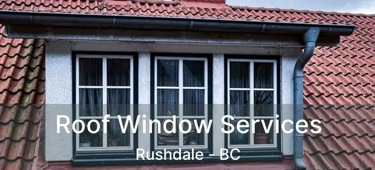  Roof Window Services Rushdale - BC