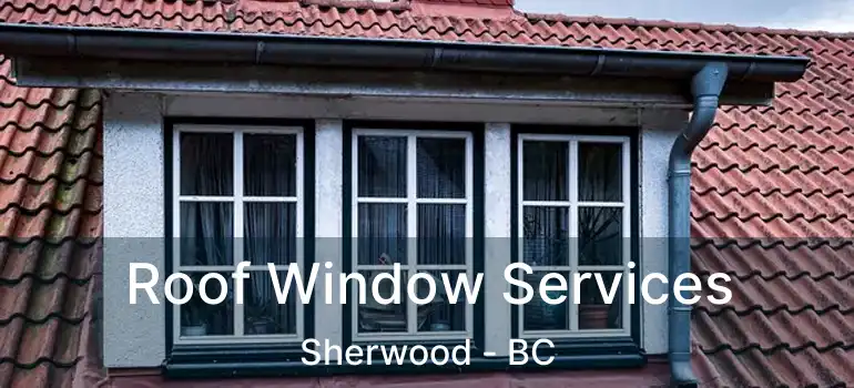  Roof Window Services Sherwood - BC