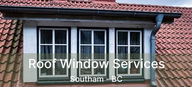 Roof Window Services Southam - BC