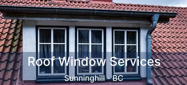  Roof Window Services Sunninghill - BC