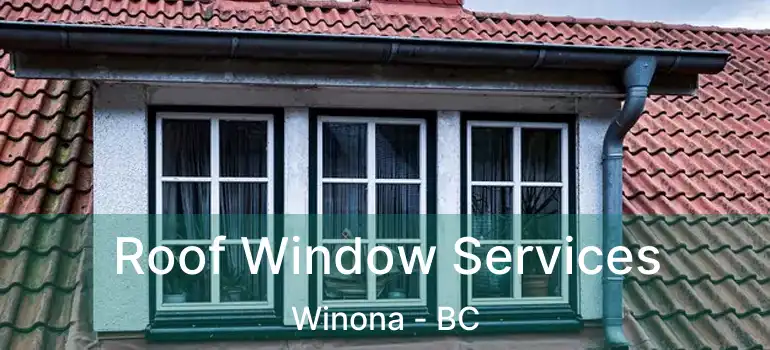  Roof Window Services Winona - BC