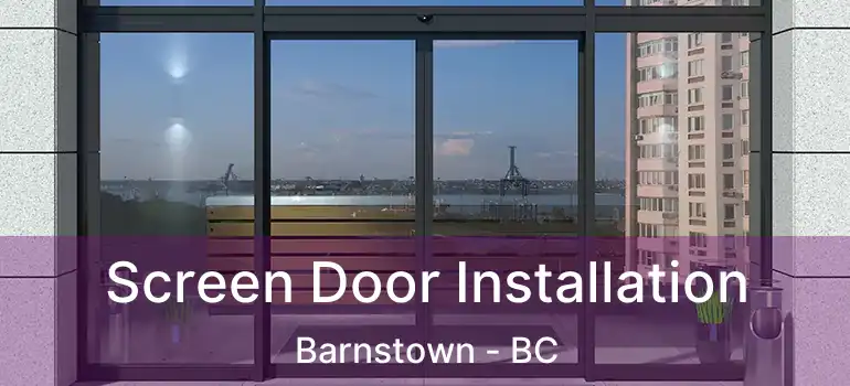  Screen Door Installation Barnstown - BC