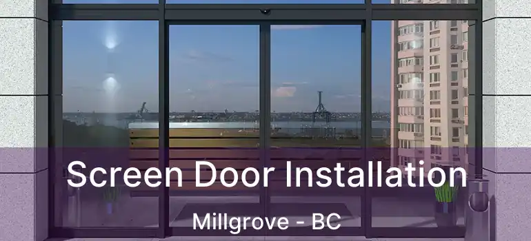  Screen Door Installation Millgrove - BC