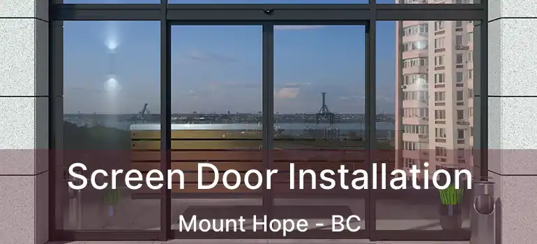  Screen Door Installation Mount Hope - BC