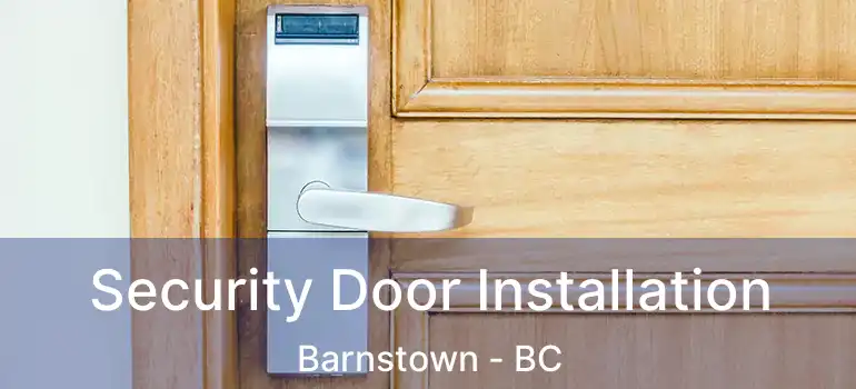  Security Door Installation Barnstown - BC