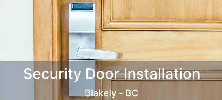  Security Door Installation Blakely - BC