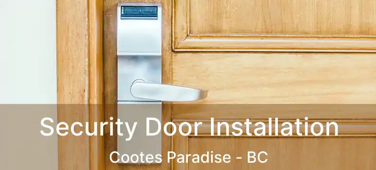  Security Door Installation Cootes Paradise - BC