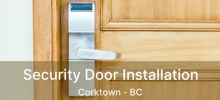 Security Door Installation Corktown - BC