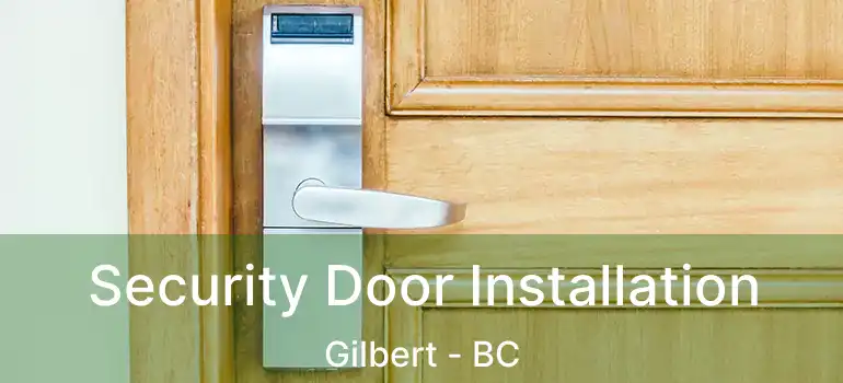  Security Door Installation Gilbert - BC