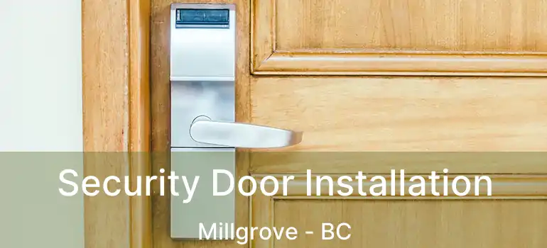  Security Door Installation Millgrove - BC