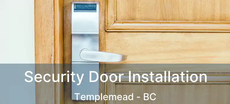  Security Door Installation Templemead - BC