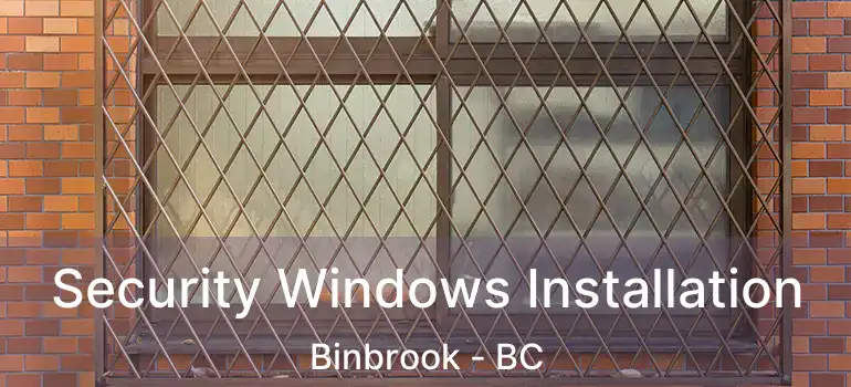  Security Windows Installation Binbrook - BC