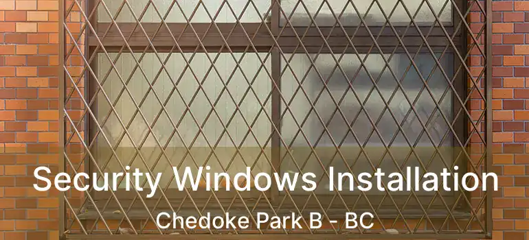 Security Windows Installation Chedoke Park B - BC