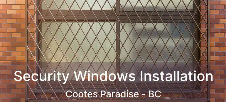 Security Windows Installation Cootes Paradise - BC