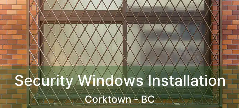  Security Windows Installation Corktown - BC