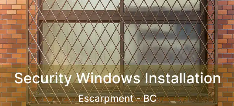  Security Windows Installation Escarpment - BC