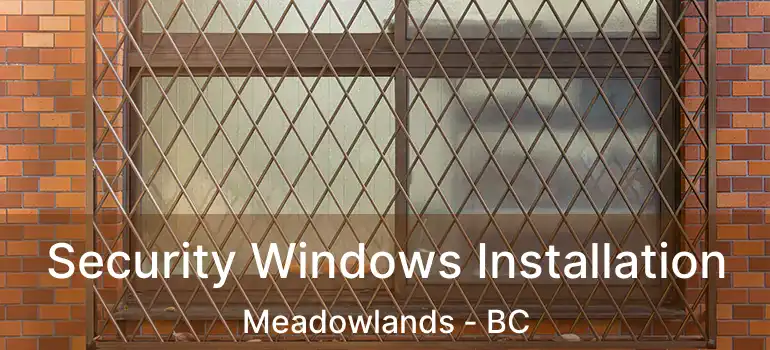  Security Windows Installation Meadowlands - BC