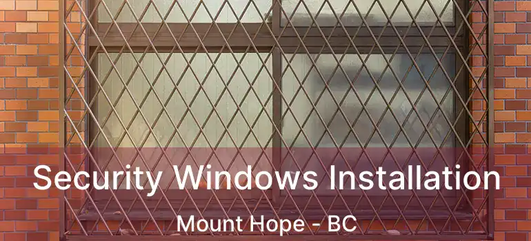  Security Windows Installation Mount Hope - BC