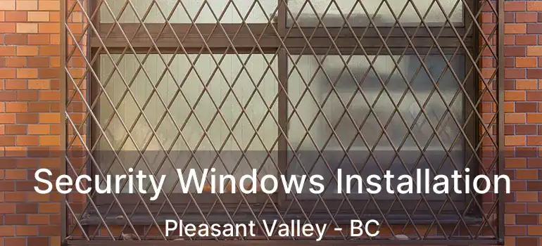  Security Windows Installation Pleasant Valley - BC
