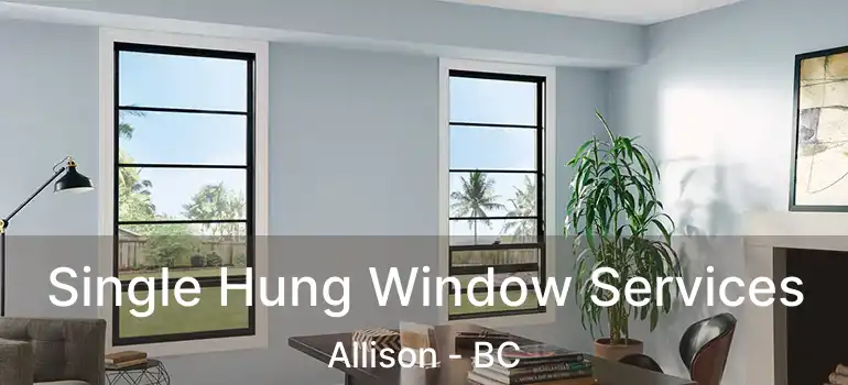  Single Hung Window Services Allison - BC