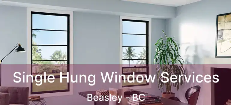  Single Hung Window Services Beasley - BC