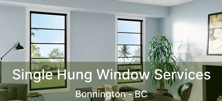  Single Hung Window Services Bonnington - BC