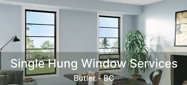  Single Hung Window Services Butler - BC