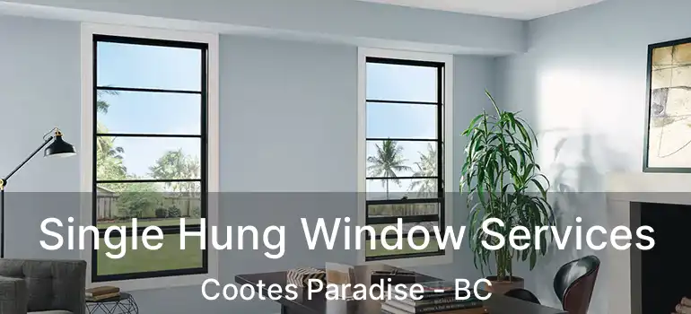  Single Hung Window Services Cootes Paradise - BC